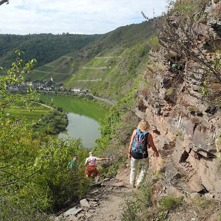 Weingut Pension Hammes-Krueger 埃伦波特道夫 外观 照片