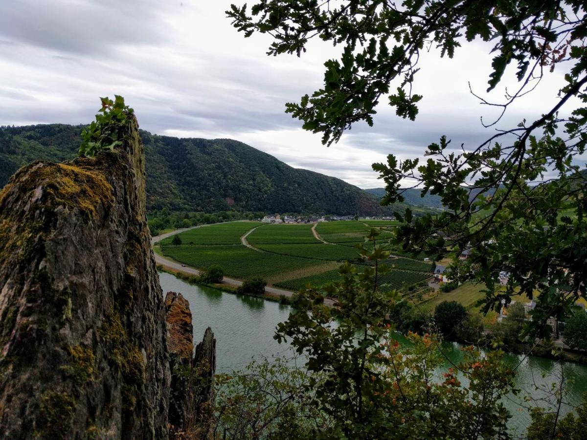 Weingut Pension Hammes-Krueger 埃伦波特道夫 外观 照片